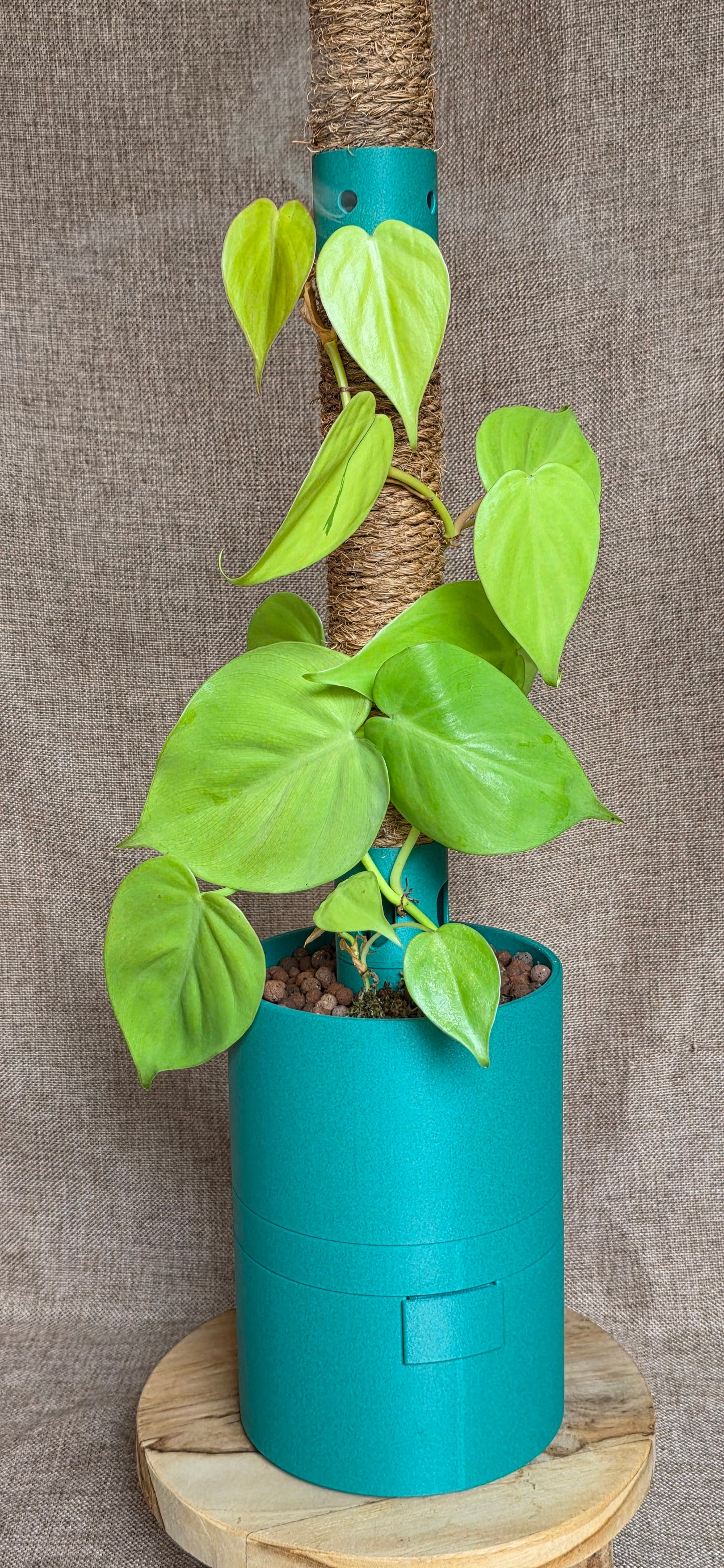 Humidipot 'Neo'
