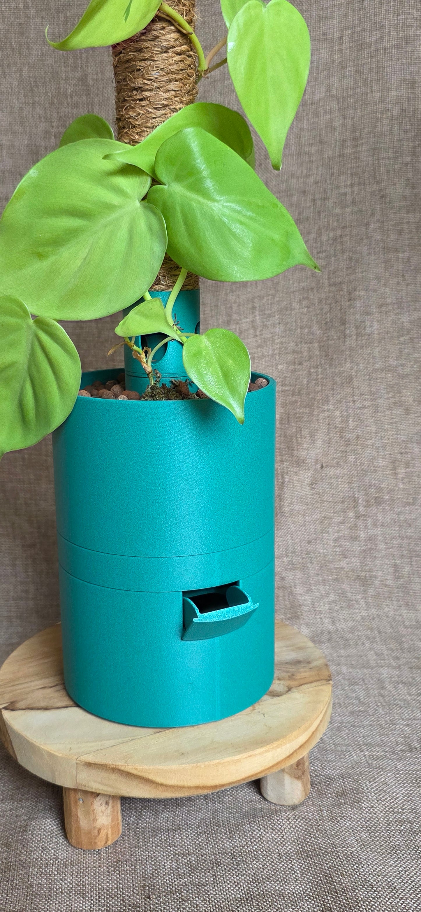 Humidipot 'Neo'