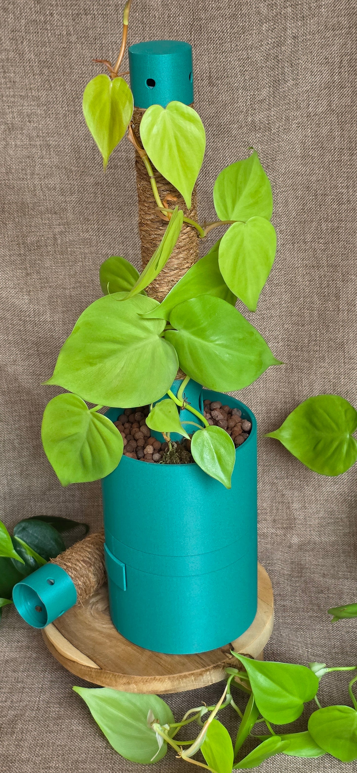 Humidipot 'Neo'