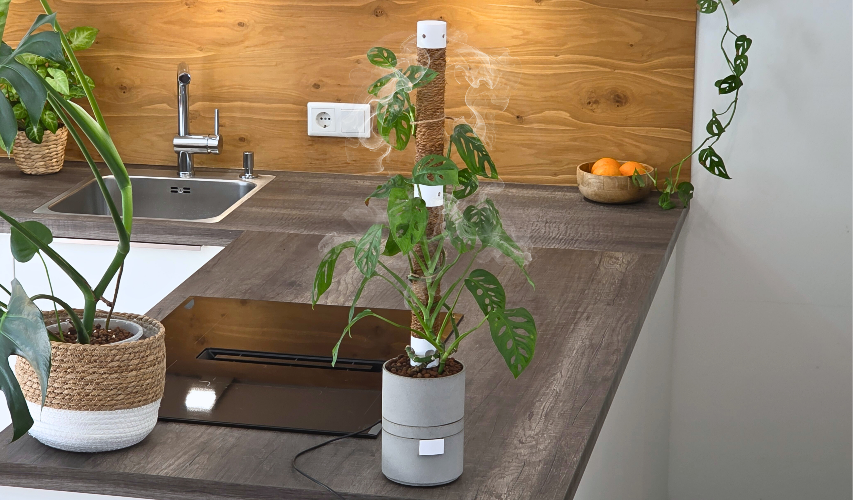 Humidipot in der Küche