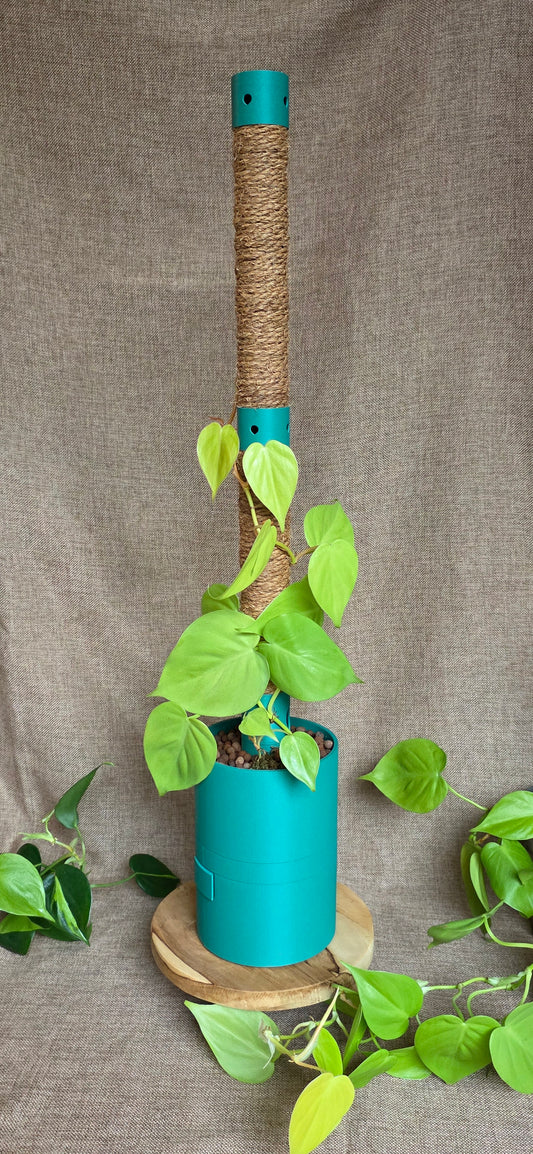 Humidipot 'Neo'