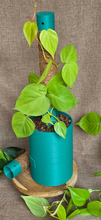 Humidipot 'Neo'