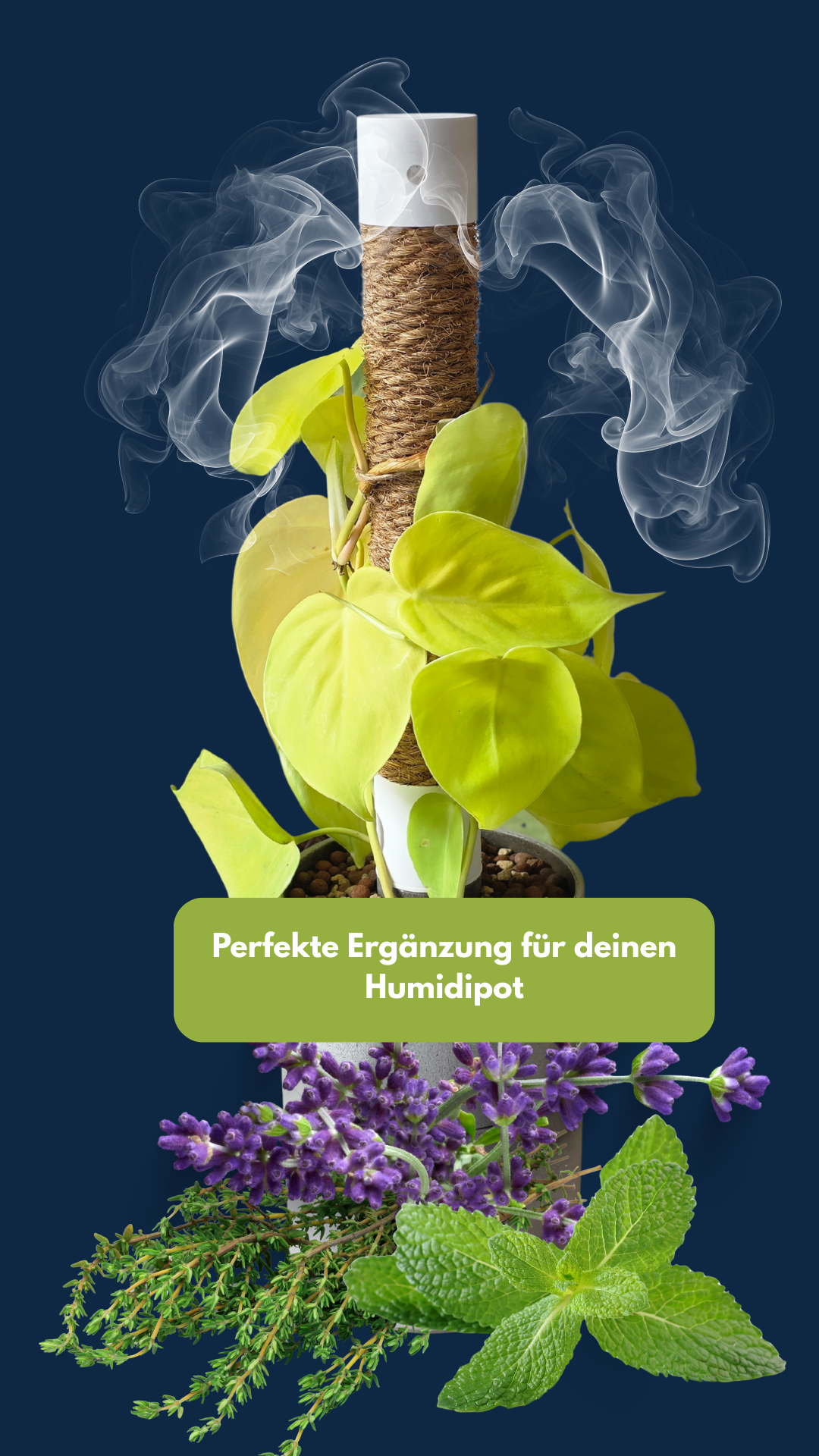 Humidipot Luftbefeuchter mit Zimmerpflanze auch möglich mit ätherischen Ölen