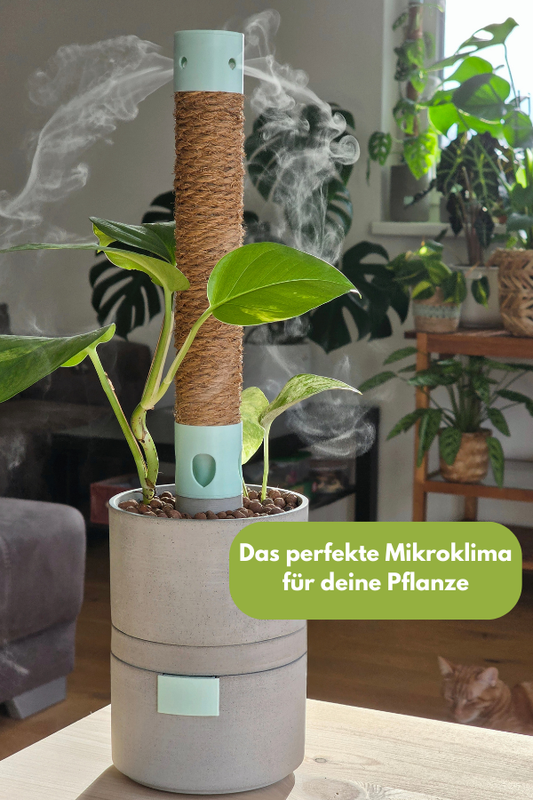 Design-Luftbefeuchter im modernen Wohnzimmer mit Grünpflanze