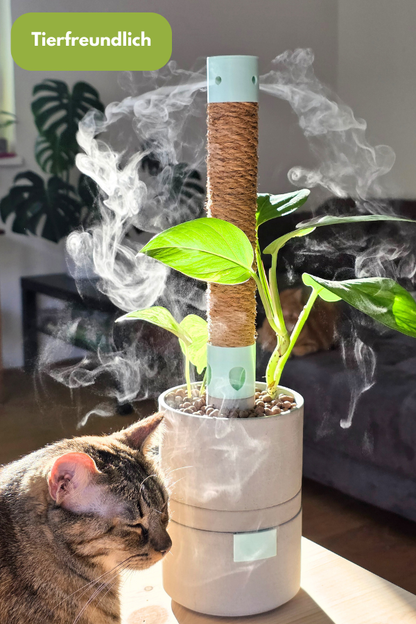 Humidipot Luftbefeuchter mit Zimmerpflanze neben Katze ist Tierfreundlich